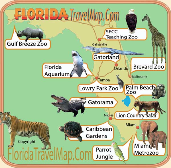 Florida Zoo